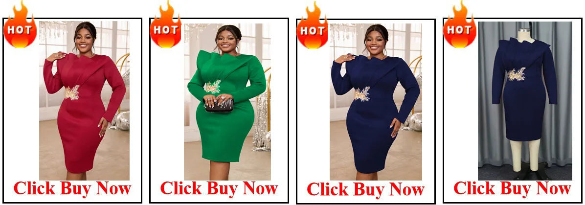 Elegant Long Sleeves with Lace Appliques Sheath