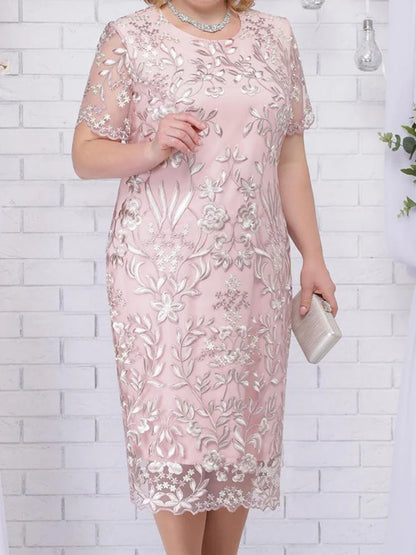 Plus Size Lace Dress