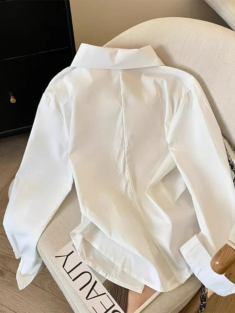 Designer Long Sleeve Tunic Blouse
