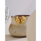 Stainless Steel Conch Stud Earrings